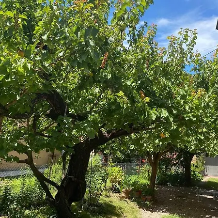 House Stazione Mazzini Flat X 2 Διαμέρισμα Μπολόνια