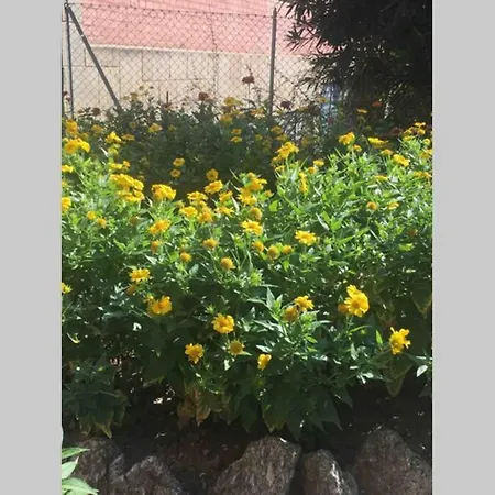 House Stazione Mazzini Flat X 2 شقة *