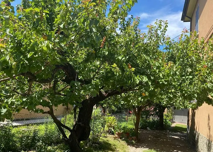 House Stazione Mazzini Flat X 2 דירה בולוניה