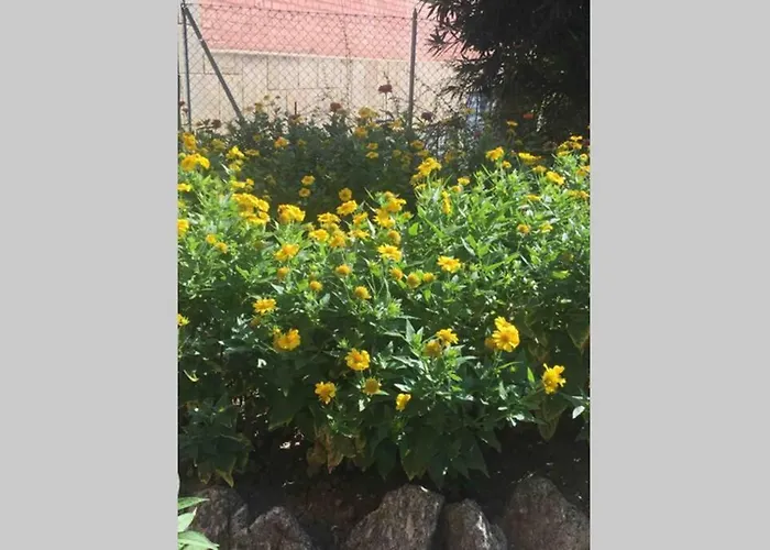 House Stazione Mazzini Flat X 2 Daire *